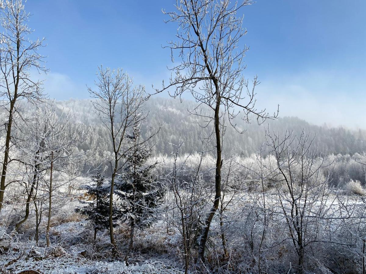 Pokoje Goscinne Pod Jaworem - Obok Pieknego Szlaku Wzdluz Rzeki Bialka, 1Km Do Stokow Kotelnica Kültér fotó