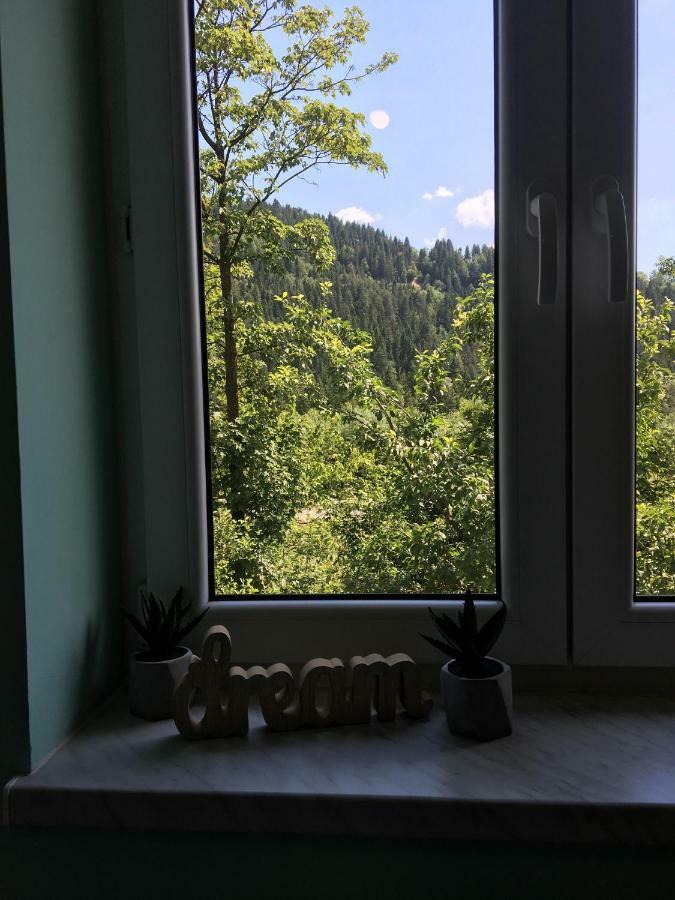 Pokoje Goscinne Pod Jaworem - Obok Pieknego Szlaku Wzdluz Rzeki Bialka, 1Km Do Stokow Kotelnica Kültér fotó